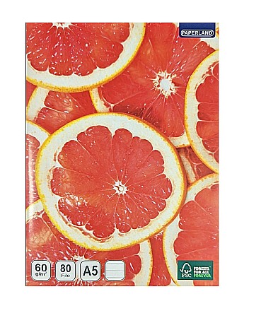 PA CAIET A5 80F LINII 60G 24000005 [2]