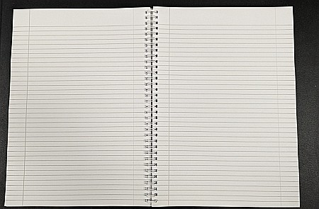 PA CAIET A4 80F LINII SPIRA DUBLA 24000089 [3]