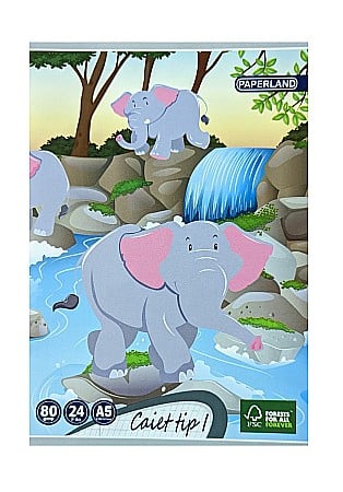 Caiete scolare - PA CAIET TIP I A5 24F 80GR  24000196