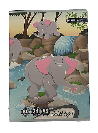 PA CAIET TIP I A5 24F 80GR  24000196 [4]