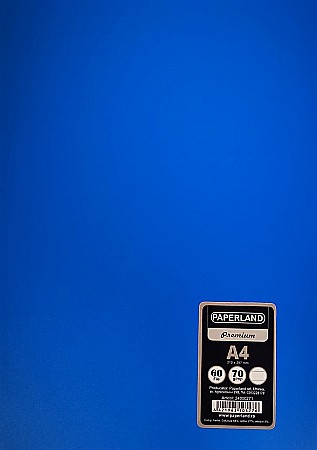 PA CAIET A4 60F 70g LINII COPERTA PLASTIC 24000271 [1]