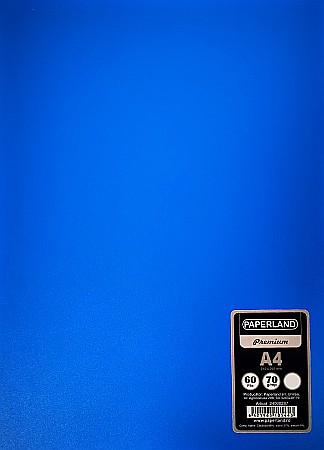 Caiete scolare - PA CAIET A4 60F VELIN COPERTA PLASTIC 24000287