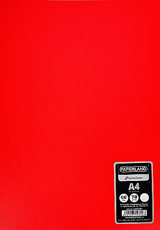 PA CAIET A4 60F VELIN COPERTA PLASTIC 24000287 [3]