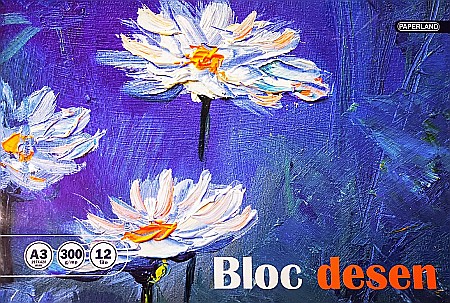 RECHIZITE SCOLARE - PA BLOC DESEN A3 12F 300g/mp 24000349