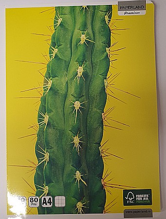 PA CAIET A4 80F 70GR PATRATELE 24800009 [2]