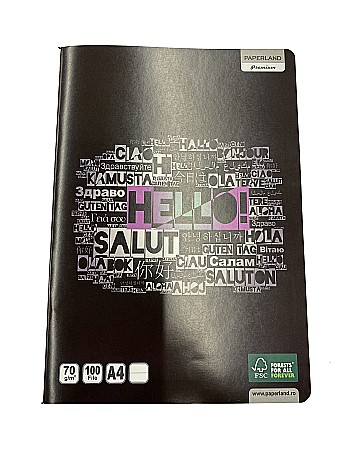 Caiete scolare - PA CAIET A4 100F 70GR PATRATELE 24800019