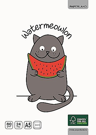 PA CAIET A5 CLASA 0 PATRATELE INCEPATORI 24 F 80G 24000026 [1]