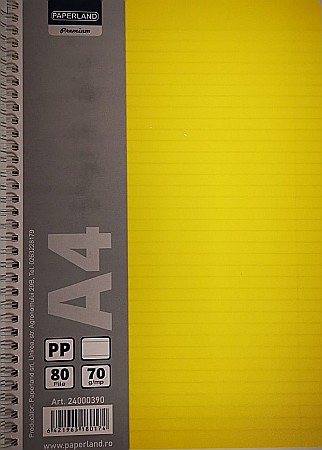 PA CAIET A4 80F LINII SPIRA PP 24000390 [1]