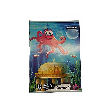 PA CAIET TIP II A5 24F 80GR 24000197 [1]