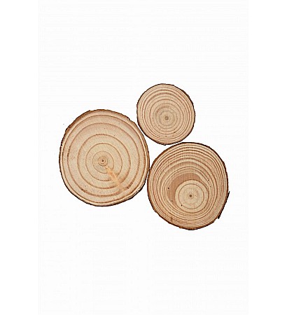 HOBBY - LEG ACCESORII CREATIE RONDELE LEMN 35-60mm 3/SET A1215