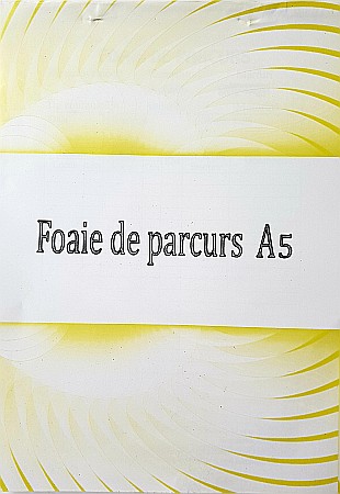 HARTIE PRODUSE DIN HARTIE - GOL FOI PARCURS PERSOANE MARFA A5 ALBASTRE TP000011