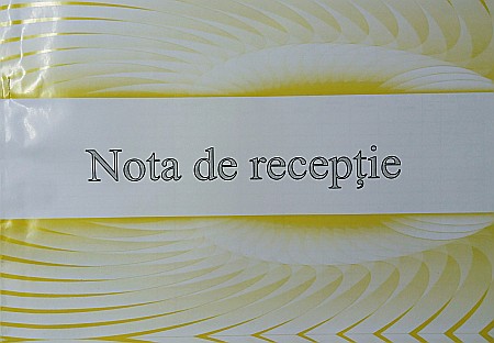Formulare tipizate - GOL NOTA RECEPTIE MODEL VECHI
