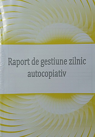 HARTIE PRODUSE DIN HARTIE - GOL RAPORT GESTIUNE ZILNIC AUTOCOPIATIV A4