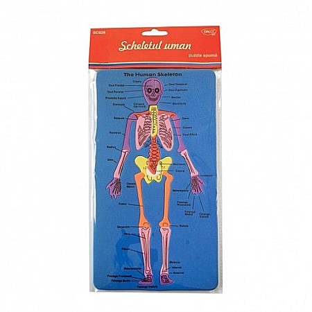 RECHIZITE SCOLARE - ADA MOOSGUMMI DACO SCHELETUL UMAN SC028