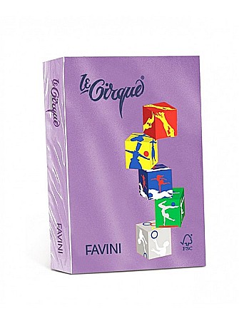 HARTIE PRODUSE DIN HARTIE - ADA CARTON COLOR A4 160GR 250/SET FAVINI MOV 220