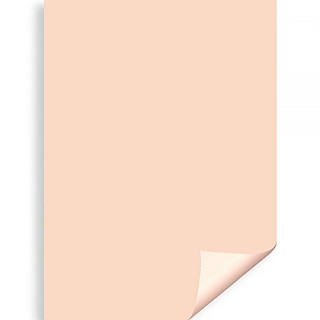 Cartoane/ Hartii Decor 50x70, 70x100, A4 - CARTON COLOR IPB 50*70CM 200GR SEPIA PN436