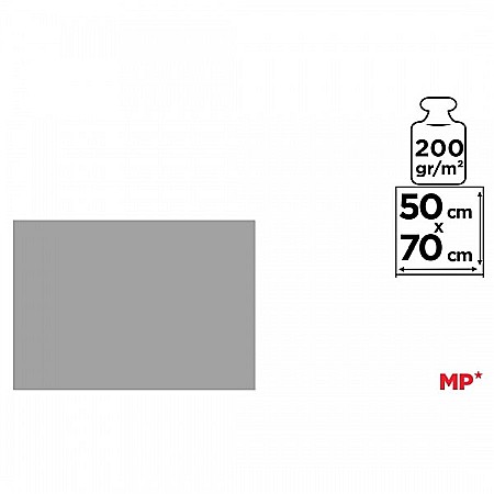 CARTON COLOR IPB 50*70CM 200GR GRI PN450 [1]
