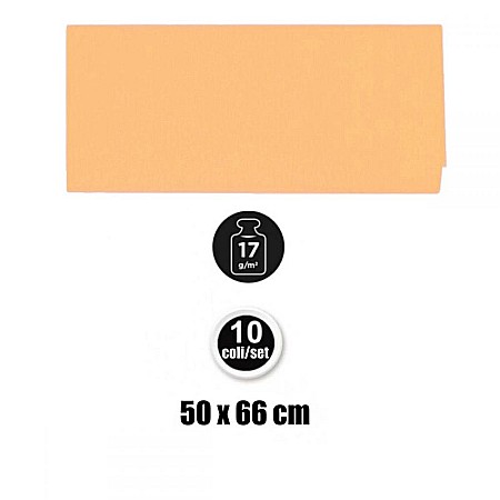 HARTIE DE MATASE IPB 50*66CM 10/SET PIERSICA PN221-05 [2]