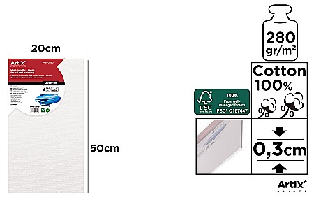 Panza/ Carton panzat pentru pictura - CARTON PANZAT IPB 20*50CM PP95-2050