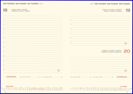 AGENDA LUX COMETA GRI 17*24CM 2026 CAG1794GR [2]