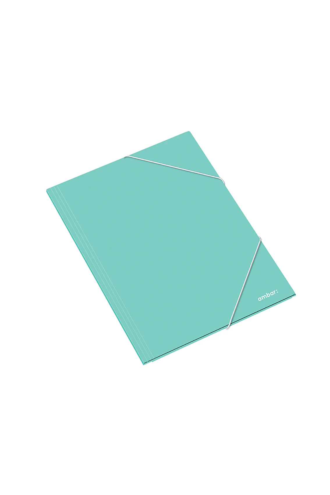 AM DOSAR CARTON CU ELASTIC A4+  DIVERSE CULORI 163818 [2]