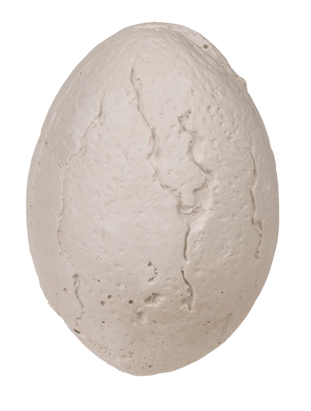 KIT DE EXCAVARE ANIMALE SALBATICE 7.4*5.2CM 11/2043 [5]