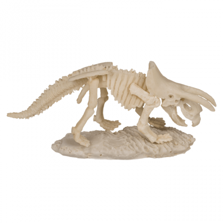 BLU KIT DE EXCAVARE SCHELET DINOZAUR 4.5*18CM 11/2003 [4]