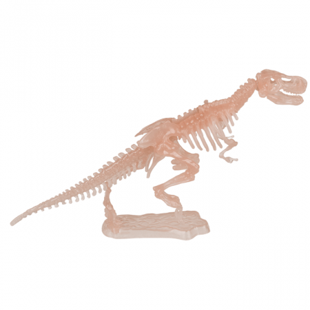 BLU MINI KIT ASAMBLARE SCHELET DE DINOZAUR 10CM GLOW IN THE DARK 59/2194 [9]