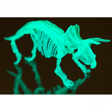 BLU MINI KIT ASAMBLARE SCHELET DE DINOZAUR 10CM GLOW IN THE DARK 59/2194 [19]