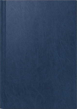 Agende 2026 - AGENDA DATATA ZILNIC BRUNNEN A5 2026 MODEL MIRADUR ALBASTRU 79560306