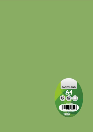 CAIET A4 80F 60G PATRATELE COPERTA PLASTIC 24000265 [4]