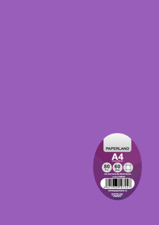 Caiete scolare - CAIET A4 80F 60G PATRATELE COPERTA PLASTIC 24000265