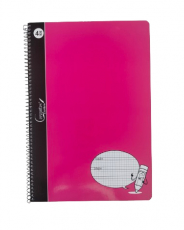 CAIET A4+ IPB 80F, SPIRA, COPERTA CARTON, PATRATELE 4*4MM PB211 [5]