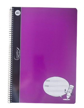 CAIET A4+ IPB 80F, SPIRA, COPERTA CARTON, PATRATELE 4*4MM PB211 [4]