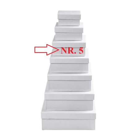 Cutii pentru flori - CC CUTIE ALBA CARTON PATRATA 13*13*H:5,5CM NR.5 26419