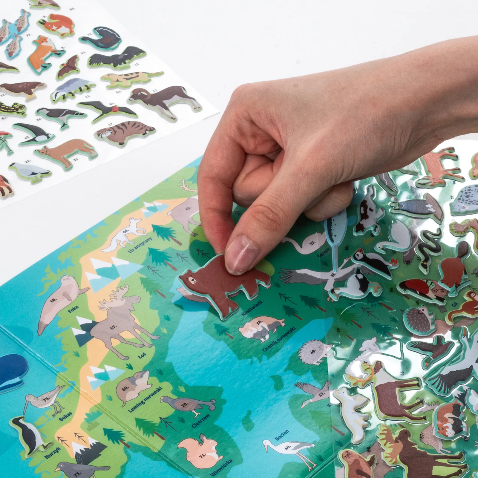 JOC EDUCATIV ANIMALELE EUROPEI CU HARTA SI STICKERE KIDEA GZZEKA [5]