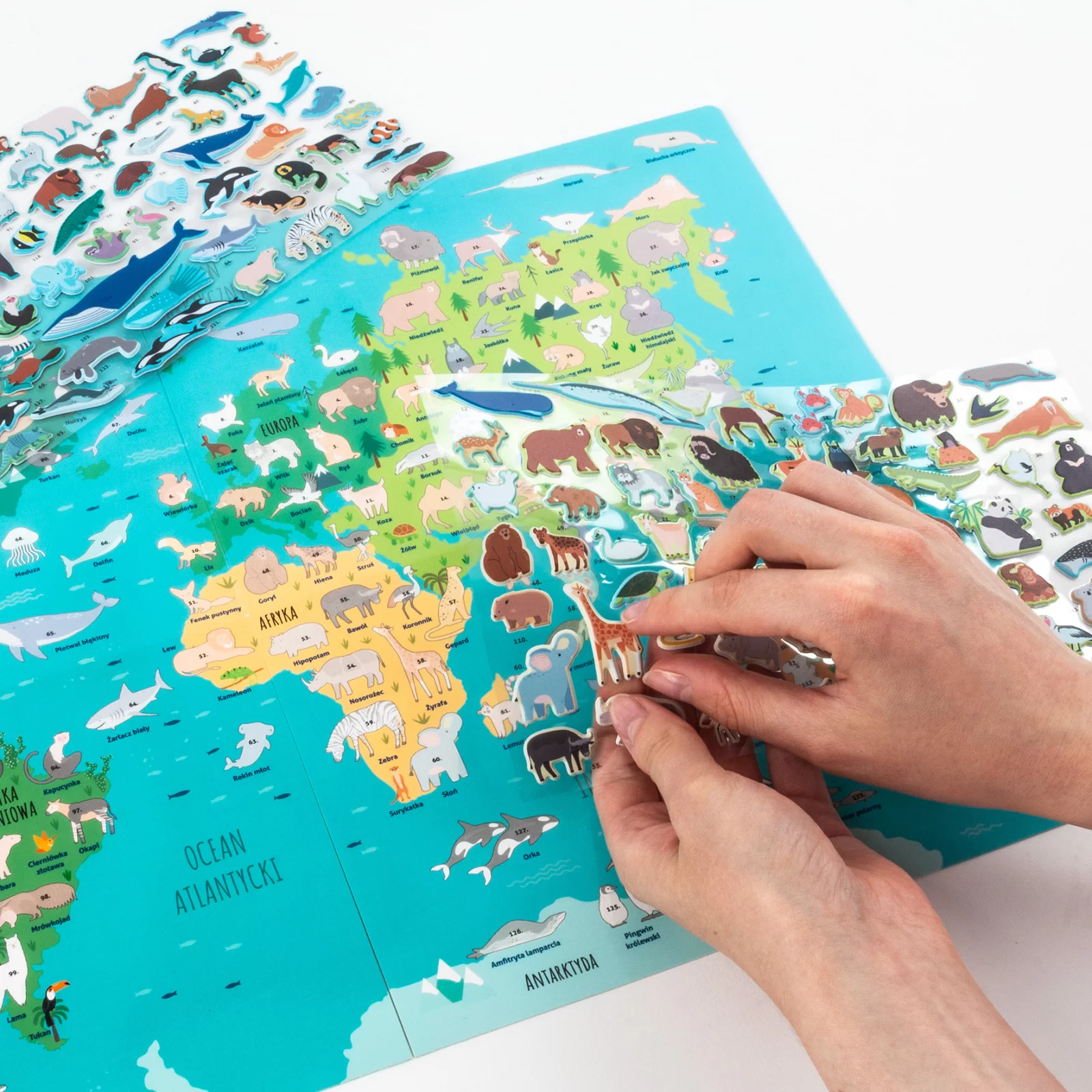 JOC EDUCATIV ANIMALELE LUMII CU HARTA SI STICKERE KIDEA GZZSKA [4]