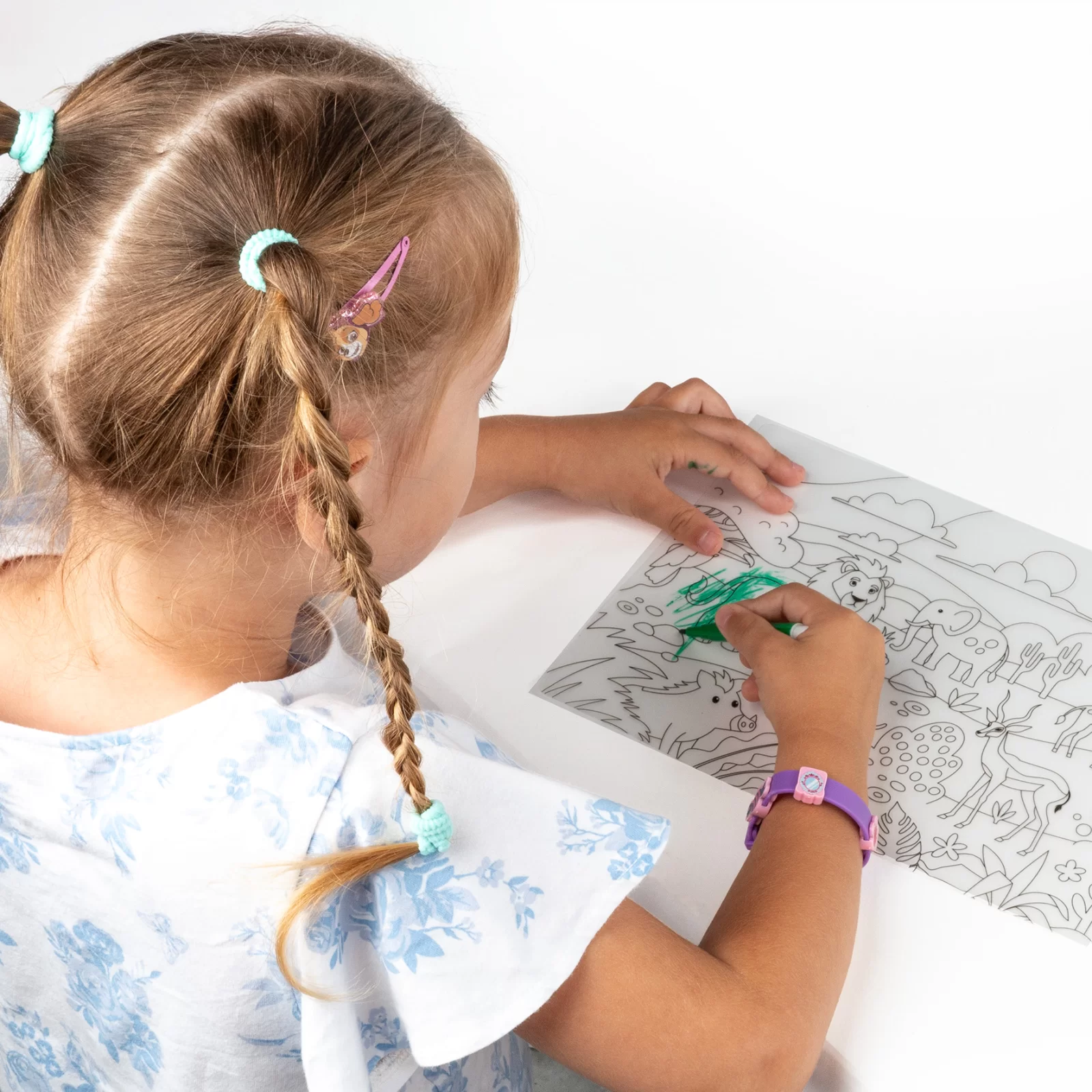 PORTOFOLIUL MICULUI ARTIST, SABLOANE + 6 CARIOCI, ANIMALE, KIDEA ITUZKA [6]