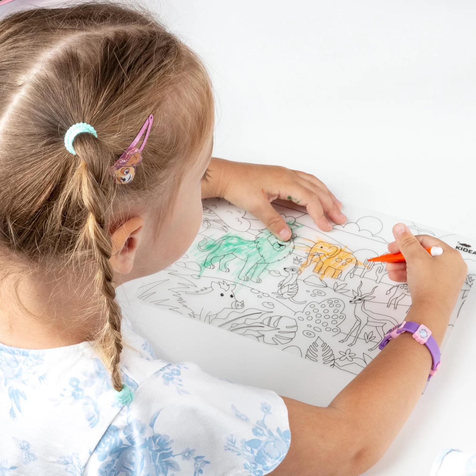 PORTOFOLIUL MICULUI ARTIST, SABLOANE + 6 CARIOCI, ANIMALE, KIDEA ITUZKA [7]