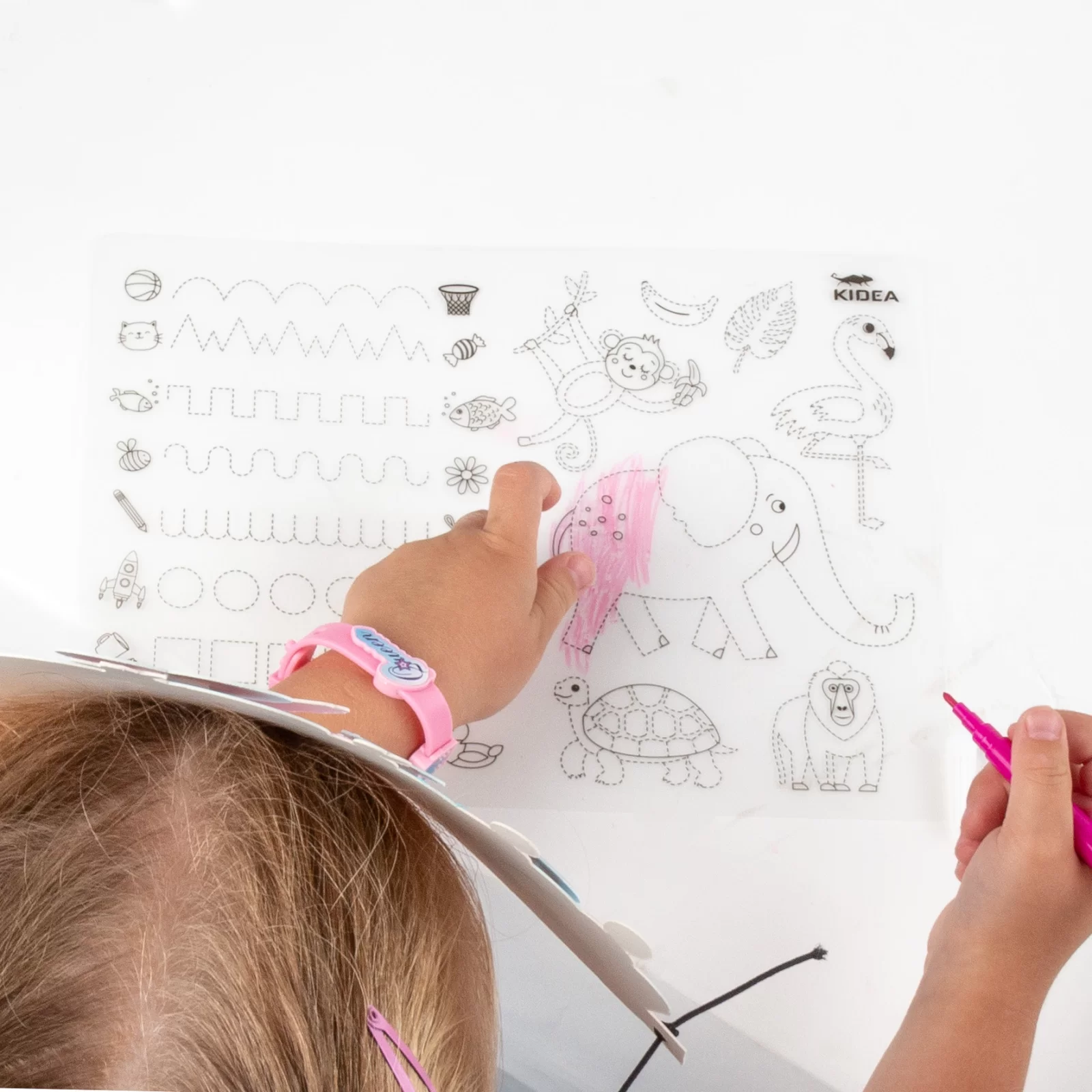 PORTOFOLIUL MICULUI ARTIST, SABLOANE + 6 CARIOCI, ANIMALE, KIDEA ITUZKA [5]