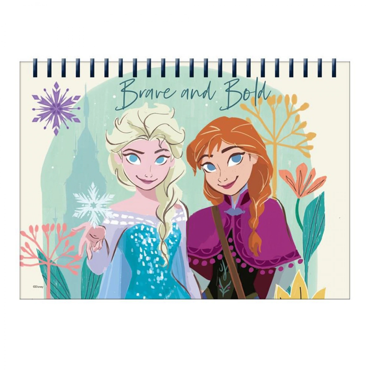 SET DE COLORAT 31 PIESE 54x47CM FROZEN II 564516 [5]