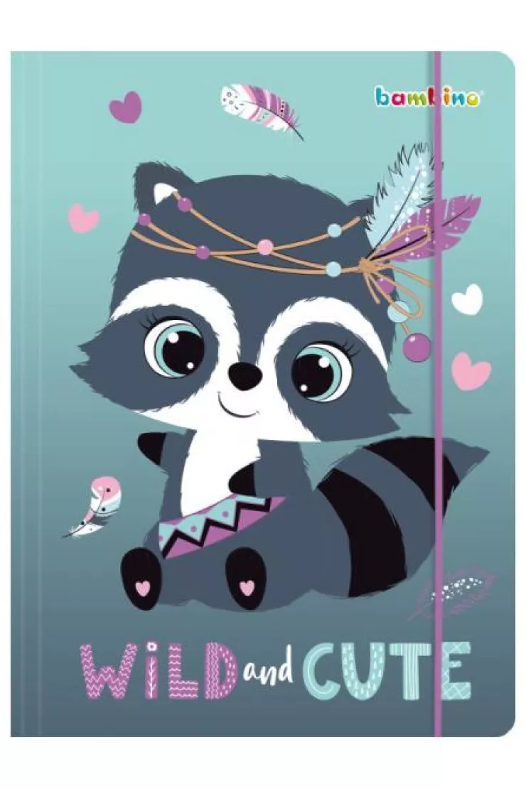 RECHIZITE SCOLARE IPB - Dosar Carton cu Elastic A4 Bambino Racoon 663475