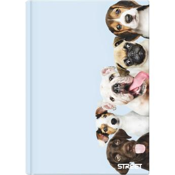 Caiete scolare - CAIET A4 96 FILE, LINII, STREET MAXI 67550