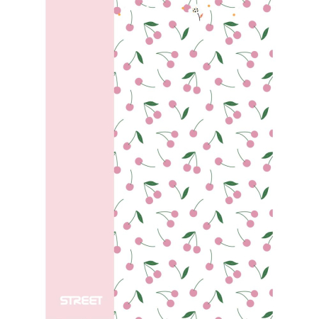 CAIET A4 PP 42 FILE, LINII, STREET BLOSSOM 67374 [3]
