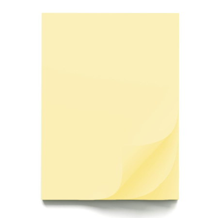 FINE ARTS&GRAPHICS - CARTON COLOR 70x100CM 220GR IVORY 56812