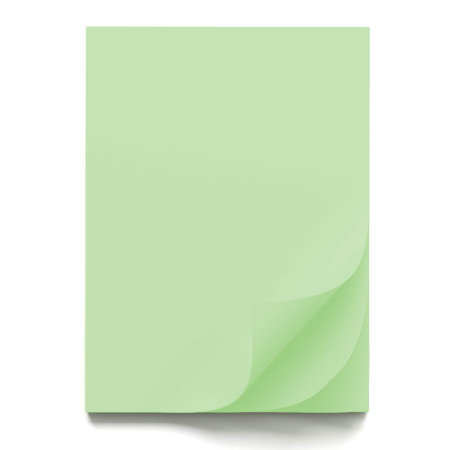 FINE ARTS&GRAPHICS - CARTON COLOR 70x100CM 220GR VERDE 56815