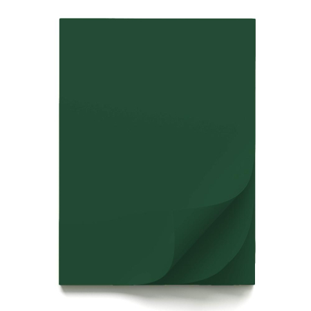 FINE ARTS&GRAPHICS - CARTON COLOR 70x100CM 220GR VERDE BRAD 56833