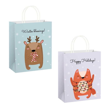 Sacose - SACOSA CADOU ECOW 18*23*10CM M SPECIAL CRACIUN 75058