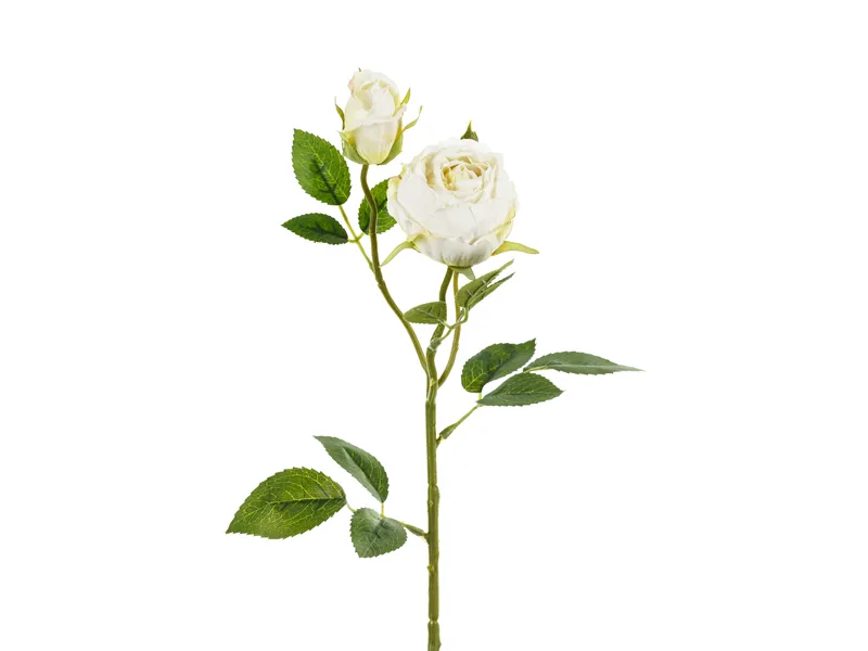 Articole Nunta, Bridal Party - Trandafir Artificial 55cm cu 2 Boboci Crem Deschis KWT3-079J