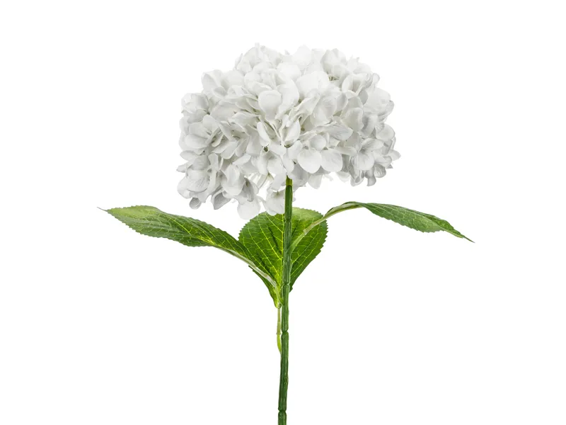 Articole Nunta, Bridal Party - Hortensie Premium Albă 69cm KWT8-008 - Decor Lux
